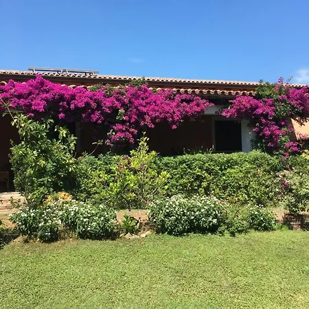Casa vacanze Loft Domus De Maria